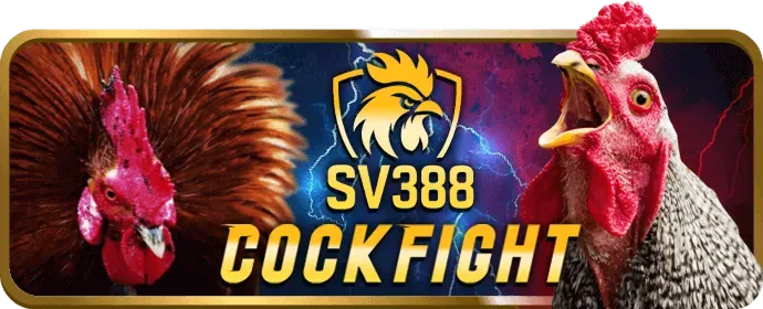 Ứng dụng Slot365 trên điện thoại